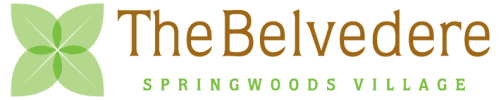 Belvedere at Springwoods Village