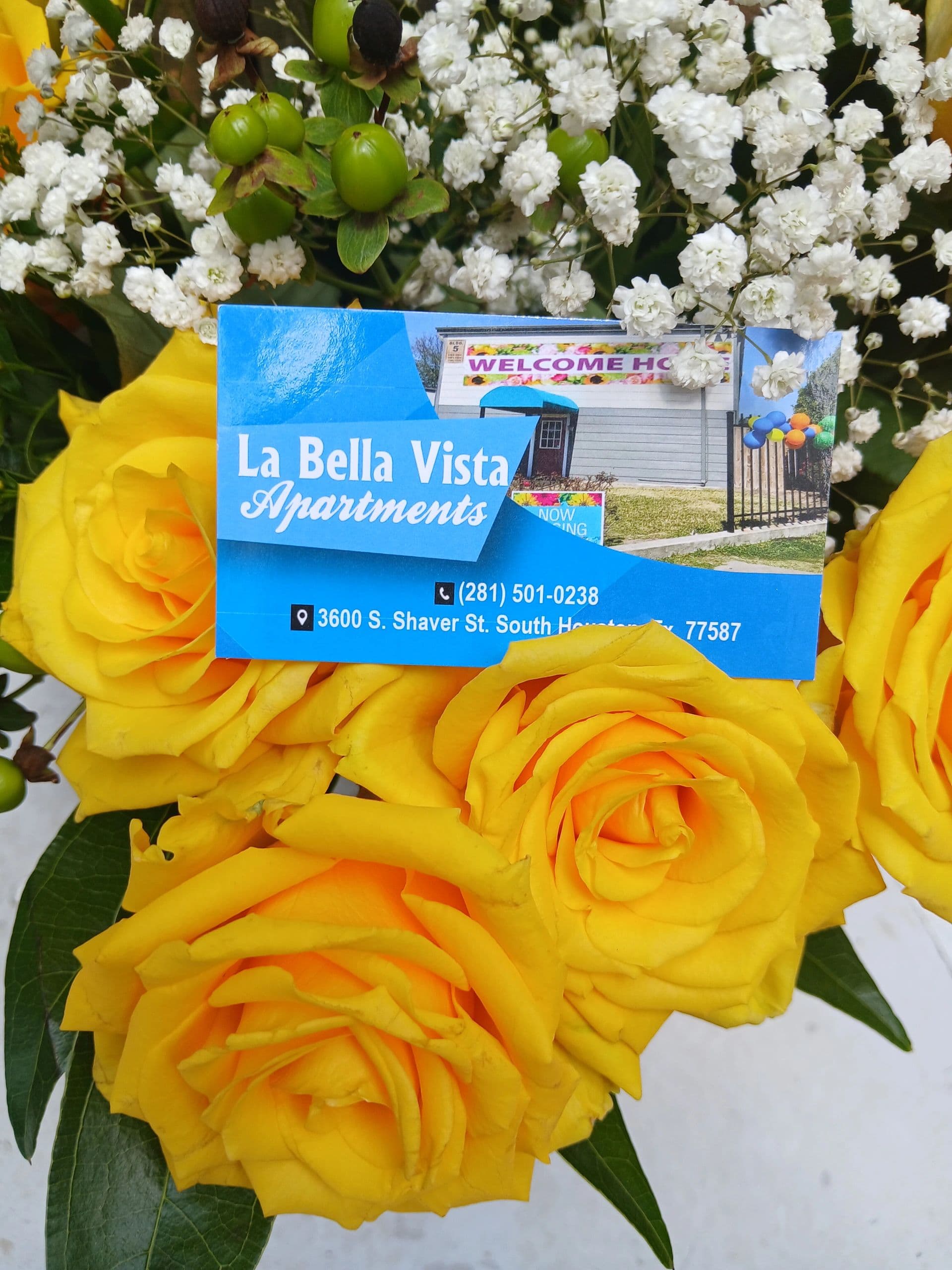 La Bella Vista Apartments